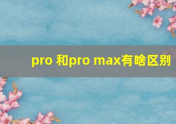 pro 和pro max有啥区别